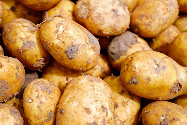 brambory od farmáře
